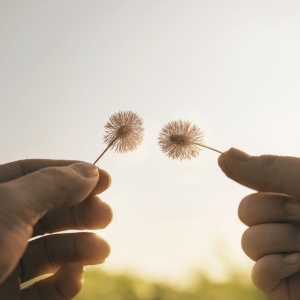 Design sans titre(22)